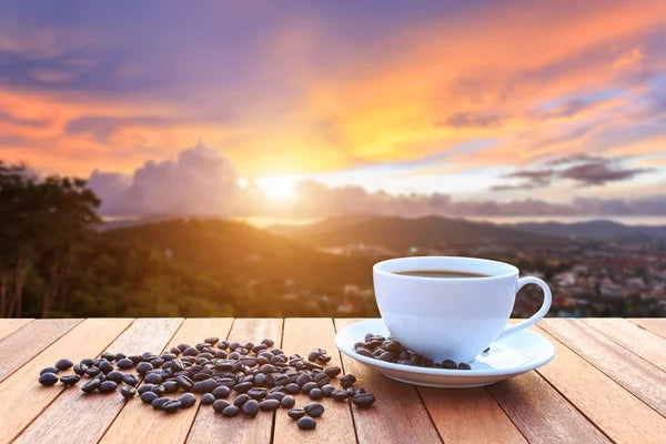 Cafetera Electrica Doble Taza 👬❤️ Un momento, un café, una sonrisa…